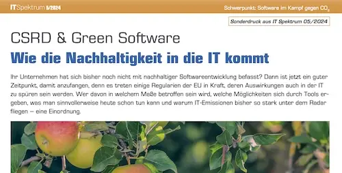 image of the ITSpektrum article header